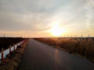 歩道は整備されてます